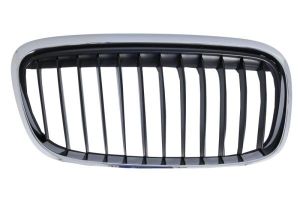 BLIC 6502-07-0071996LP Radiator Grille