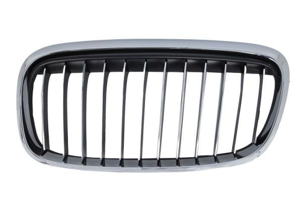 BLIC 6502-07-0071997LP Radiator Grille