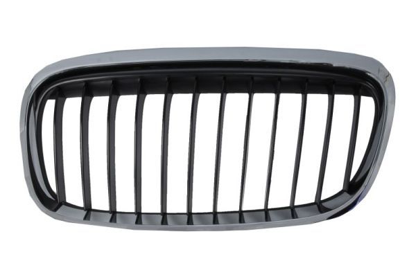 BLIC 6502-07-0071997SP Radiator Grille