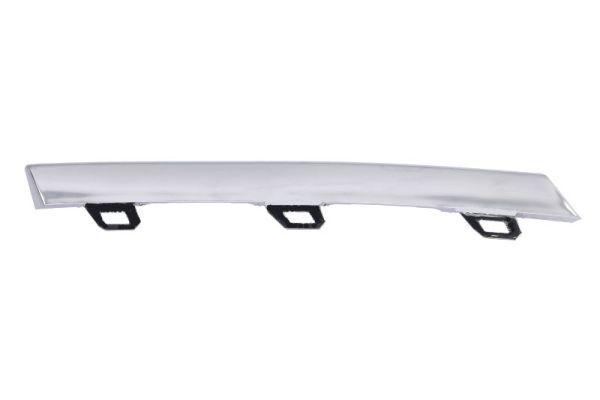 BLIC 6502-07-0072921P Trim/Protection Strip, bumper