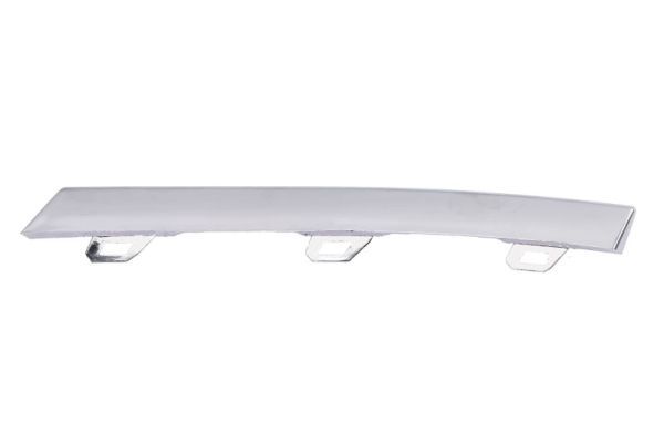 BLIC 6502-07-0072922P Trim/Protection Strip, bumper