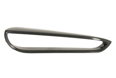 Ventilation Grille, bumper BLIC 6502-07-0073916P