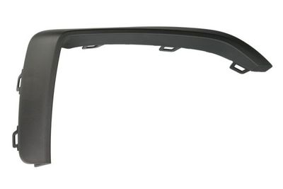 Trim/Protection Strip, bumper BLIC 6502-07-0073924P