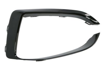 Trim/Protection Strip, bumper BLIC 6502-07-0073924SP