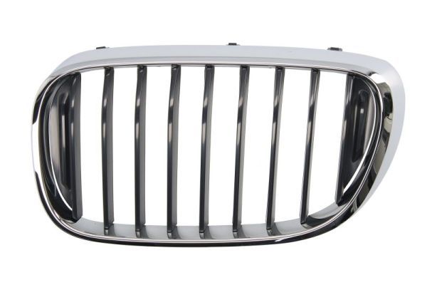 BLIC 6502-07-0078991P Radiator Grille
