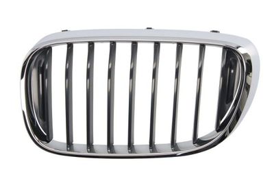 Radiator Grille BLIC 6502-07-0078991P