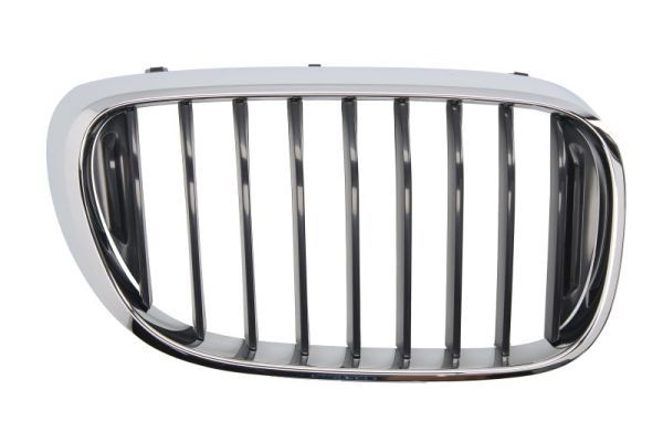BLIC 6502-07-0078992P Radiator Grille