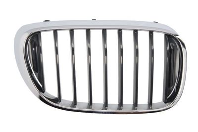 Radiator Grille BLIC 6502-07-0078992P