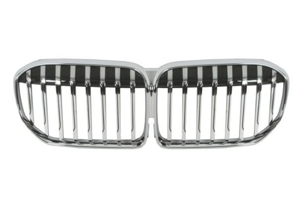 BLIC 6502-07-0079991P Radiator Grille