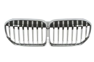 Radiator Grille BLIC 6502-07-0079991P