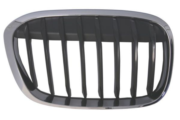 BLIC 6502-07-0082994MP Radiator Grille