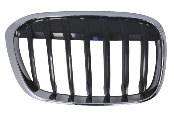 BLIC 6502-07-0082994P Radiator Grille