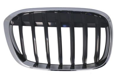 Radiator Grille BLIC 6502-07-0082994P