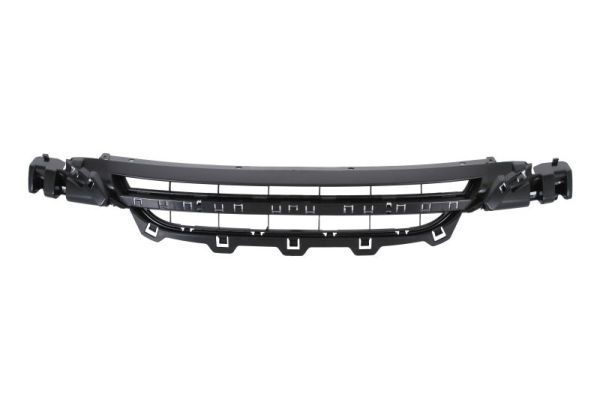 BLIC 6502-07-0086910Q Ventilation Grilles, bumper