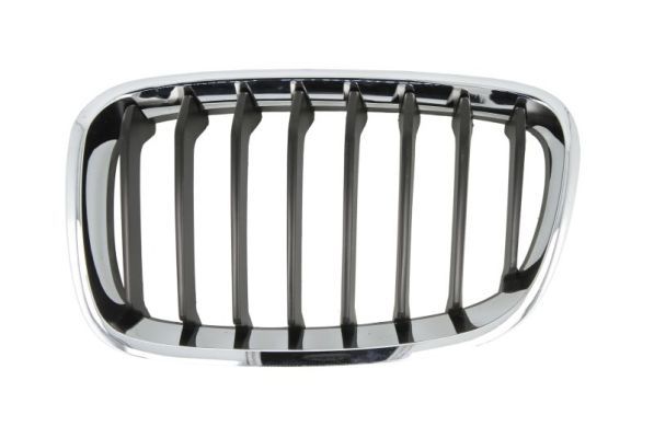 BLIC 6502-07-0086995P Radiator Grille