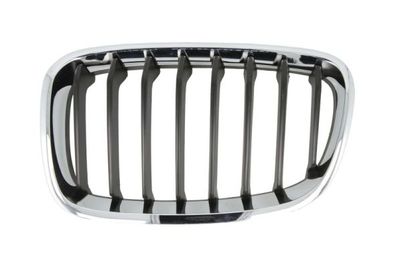 Radiator Grille BLIC 6502-07-0086995P
