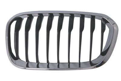 Radiator Grille BLIC 6502-07-0086997CP