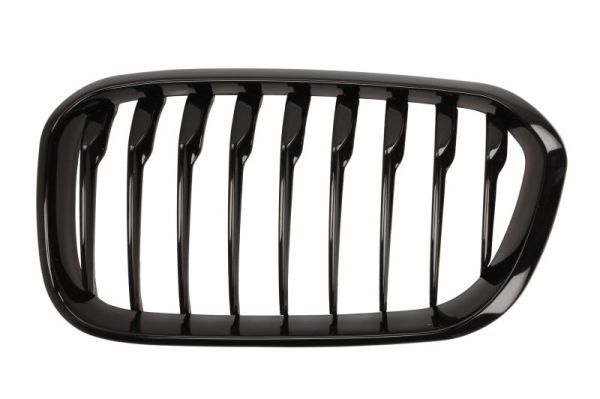 BLIC 6502-07-0086997P Radiator Grille