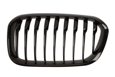 Radiator Grille BLIC 6502-07-0086997P