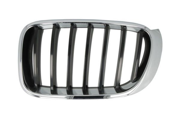 BLIC 6502-07-00939933P Radiator Grille
