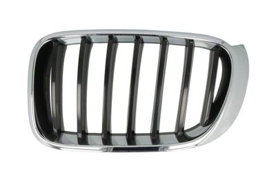 Radiator Grille BLIC 6502-07-00939933P