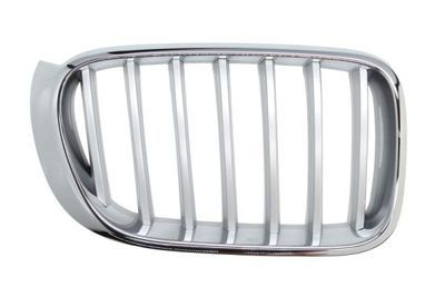 Radiator Grille BLIC 6502-07-00939966P