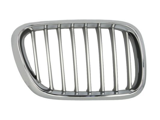 BLIC 6502-07-0095992P Radiator Grille