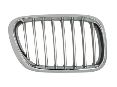 Radiator Grille BLIC 6502-07-0095992P