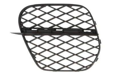 Ventilation Grilles, bumper BLIC 6502-07-0096925P