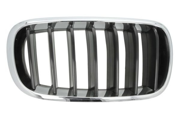BLIC 6502-07-00969922P Radiator Grille