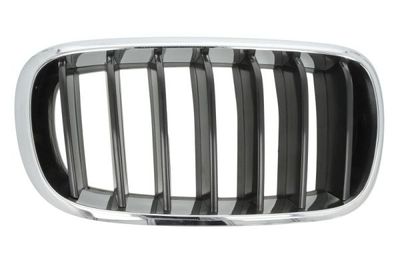 Radiator Grille BLIC 6502-07-00969922P