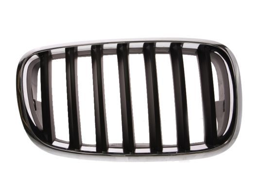 BLIC 6502-07-0096992P Radiator Grille