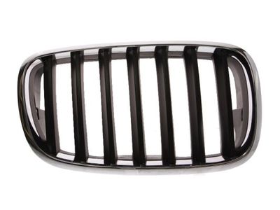Radiator Grille BLIC 6502-07-0096992P