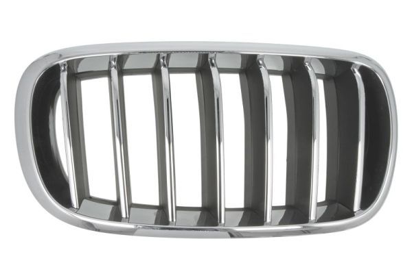 BLIC 6502-07-00969944P Radiator Grille