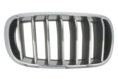 Radiator Grille BLIC 6502-07-00969944P
