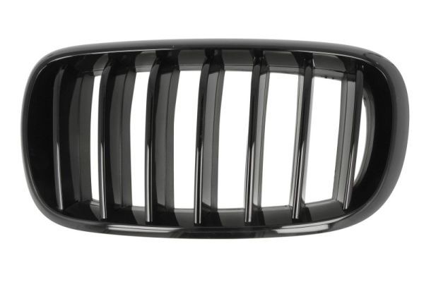 BLIC 6502-07-00969977P Radiator Grille