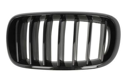 Radiator Grille BLIC 6502-07-00969977P