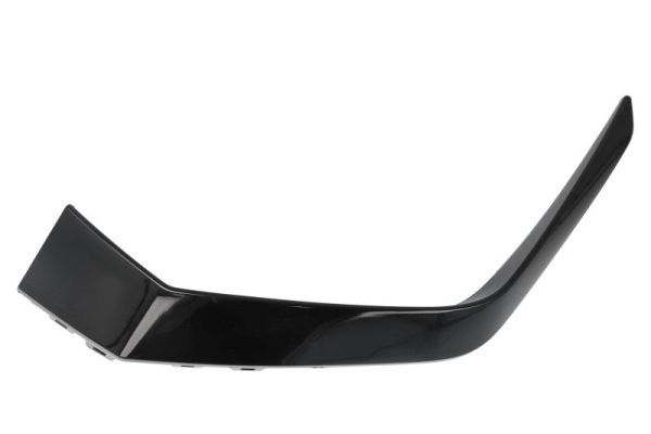 BLIC 6502-07-0101925P Trim/Protection Strip, bumper