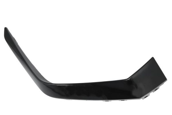 BLIC 6502-07-0101926P Trim/Protection Strip, bumper