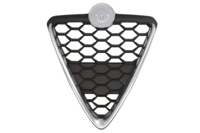 Radiator Grille BLIC 6502-07-0105999P