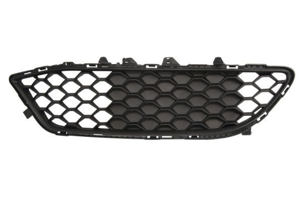 BLIC 6502-07-0106916P Ventilation Grille, bumper