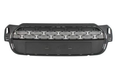 Radiator Grille BLIC 6502-07-0533990P