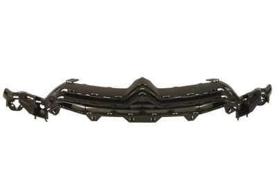 Radiator Grille BLIC 6502-07-0537991Q