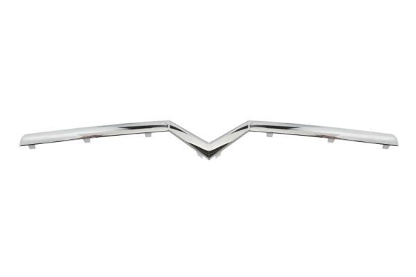 BLIC 6502-07-0537992P Trim/Protection Strip, radiator grille