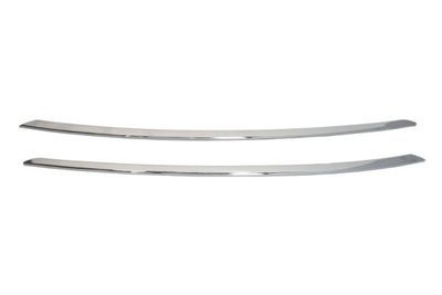 Trim/Protection Strip, bumper BLIC 6502-07-0538920P