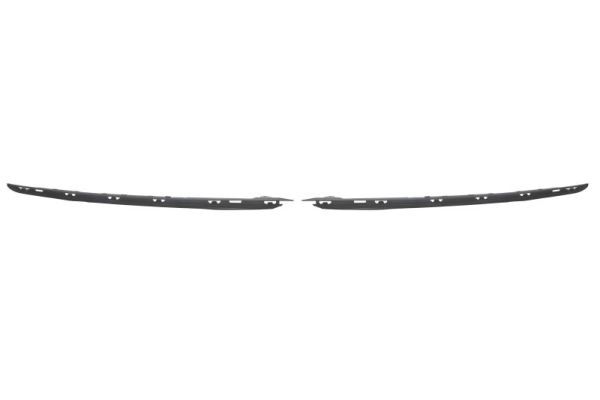BLIC 6502-07-0538922P Trim/Protection Strip, bumper