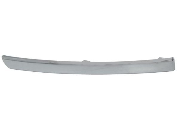 BLIC 6502-07-0538993P Trim/Protection Strip, bumper