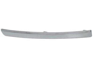 Trim/Protection Strip, bumper BLIC 6502-07-0538993P