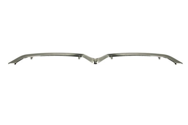 BLIC 6502-07-0538994P Trim/Protection Strip, bumper