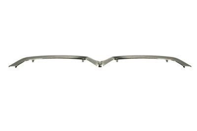 Trim/Protection Strip, bumper BLIC 6502-07-0538994P